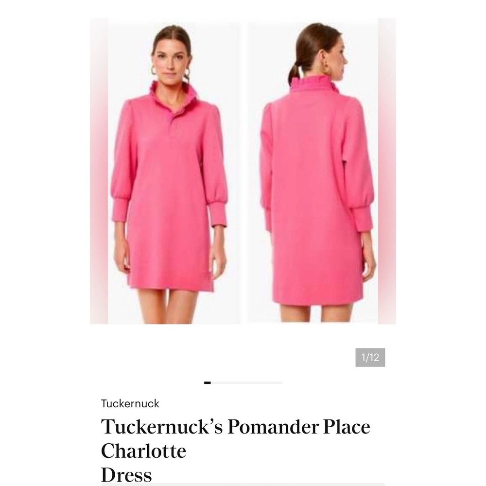 Tuckernuck Pomander Place Charlotte Pink Ruffle Neck Sweatshirt Mini Dress M - Picture 1 of 11